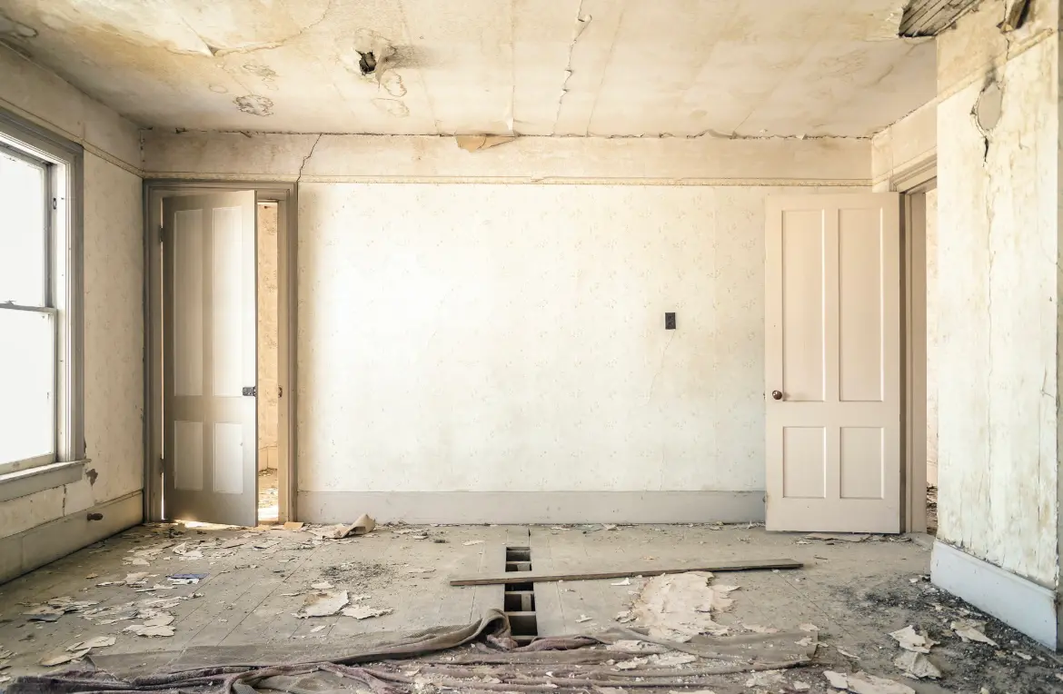 Waste disposal crew managing a cleanout project in Bellingham